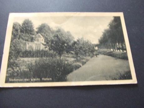 Hattem oude stadsmuur met gracht